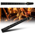 Mini saxofon cu două octave