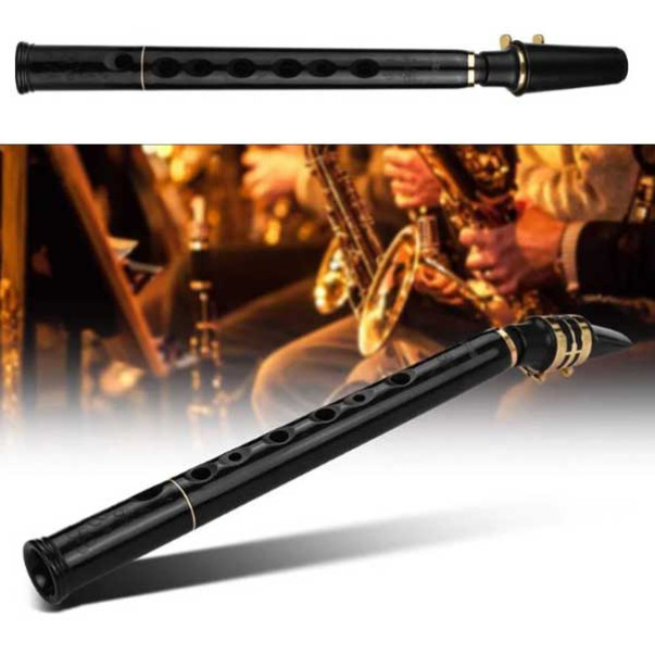 Mini saxofon cu două octave